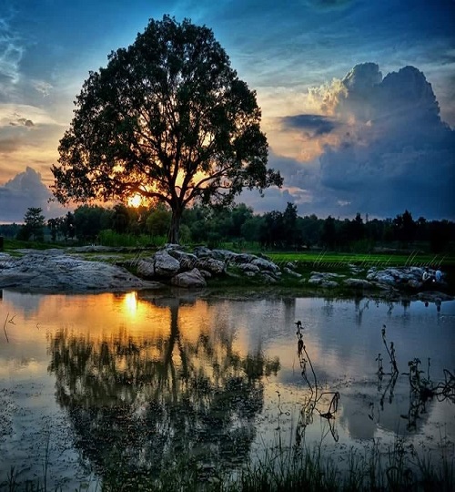 118936804_3138211012899018_5549541479889863559_n