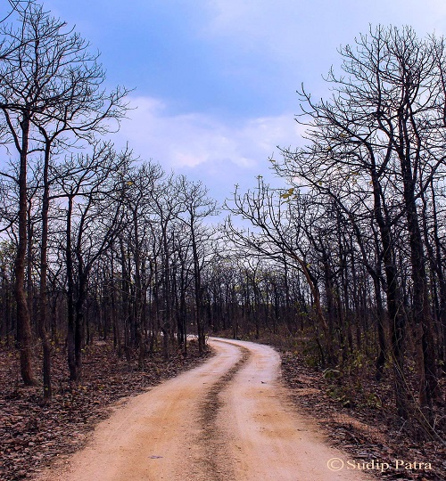 15676107_1153800131340126_2221131271318955941_o