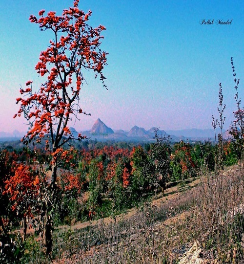 17505139_1227998697253602_161318545446007671_o