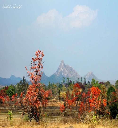 17545382_1228711833848955_5708069199286051058_o