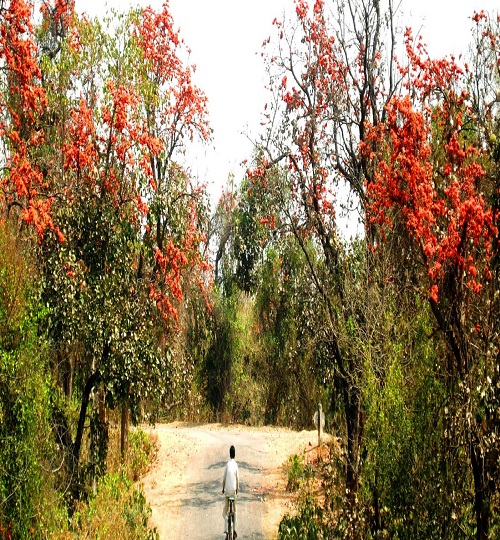 Purulia-Garpanchkot-in-west-bengal